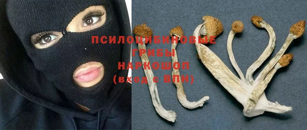 скорость Алзамай