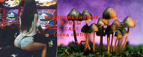 круглые Алексин