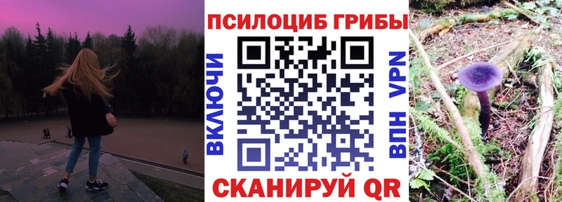 omg ССЫЛКА  Ртищево  Псилоцибиновые грибы Psilocybine cubensis 